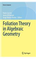 Foliation Theory in Algebraic Geometry