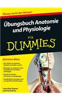 Ubungsbuch Anatomie und Physiologie Fur Dummies