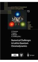 Numerical Challenges in Lattice Quantum Chromodynamics