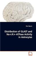 Distribution of GLAST and Na+/K+-ATPase Activity in Astrocytes