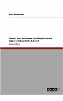 Fördert oder behindert Schulinspektion die eigenverantwortliche Schule?: (German)