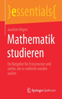 Mathematik Studieren