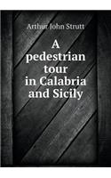 A Pedestrian Tour in Calabria and Sicily