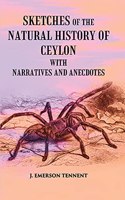 Sketches of Natural History of Ceylon