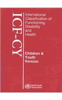 International Classification of Functioning, Disability and Health: Children & Youth Version, ICG-CY
