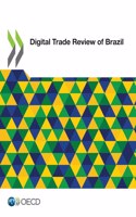 Digital Trade Review of Brazil