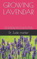 Growing Lavendar