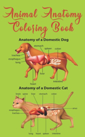 Animal Anatomy Coloring Book: Veterinary Physiology Animals Coloring - Anatomy Magnificent Learning Structure For Students & Even Adults