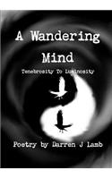 A Wandering Mind Tenebrosity To Luminosity