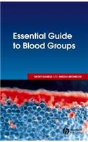 Essential Guide to Blood Groups