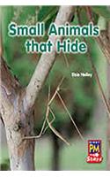 Small Animals That Hide: Leveled Reader Bookroom Package Yellow (Levels 6-8)(Rigby PM Stars)