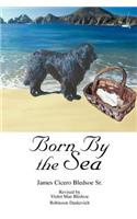 Born By the Sea