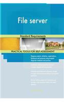 File server Standard Requirements