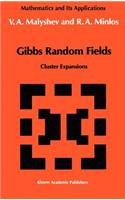 Gibbs Random Fields