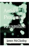 Antigen Processing and Recognition