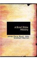 Brief Bible History