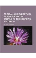 Critical and Exegetical Handbook to the Epistle to the Hebrews Volume 12