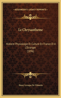 Le Chrysantheme