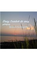 Dans l'ombre de mes silences