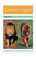 Leones Y Tigres (Lions and Tigers): Bookroom Package (Levels 17-18)(Rigby PM Coleccion)