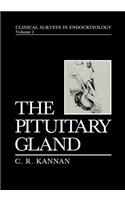 Pituitary Gland