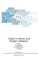 Topics in Atomic and Nuclear Collisions