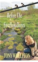 Before The Swallow Dares