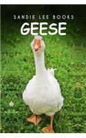 Geese - Sandie Lee Books