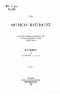 American Naturalist - Vol. XXXIV