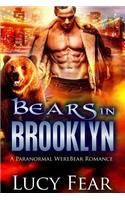 Bears In Brooklyn