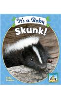 It's a Baby Skunk: (Baby Mammals)