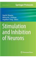 Stimulation and Inhibition of Neurons