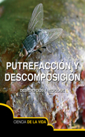 Putrefacción Y Descomposición: Rot and Decay(Let's Explore Science)