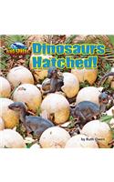 Dinosaurs Hatched!
