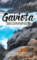 Gaviota Beginnings