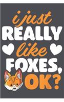 I Just Really Like Foxes OK