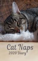 Cat Naps 2020 Diary