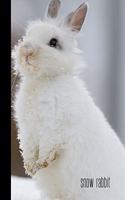Snow Rabbit
