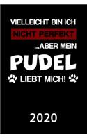 Pudel 2020: Kalender Lustiger Hunde Spruch Terminplaner Frauchen Herrchen Terminkalender Wochenplaner, Monatsplaner & Jahresplaner für Hundefrauchen & Hundebesi
