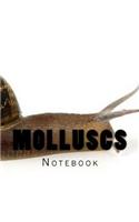 Molluscs: Notebook