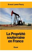 La Propriété souterraine en France