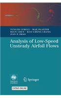 Analysis of Low-Speed Unsteady Airfoil Flows