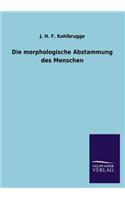 Die morphologische Abstammung des Menschen