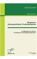 Biogenese chloroplastidärer Proteinkomplexe am Beispiel der Gerste mit Hilfe der 2-D-Gelelektrophorese