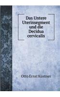 Das Untere Uterinsegment Und Die Decidua Cervicalis