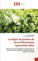 teigne de pomme de terre Phthorimaea operculella Zeller