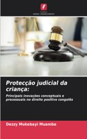 Protecção judicial da criança