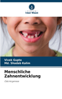 Menschliche Zahnentwicklung