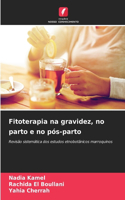 Fitoterapia na gravidez, no parto e no pós-parto