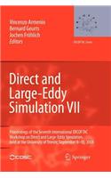 Direct and Large-Eddy Simulation VII